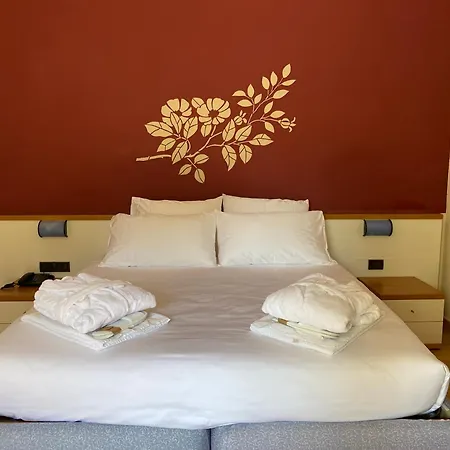 Hotel Alevic Sirmione